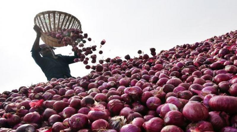 Onion will be auctioned again on Thursday in Nashik markets