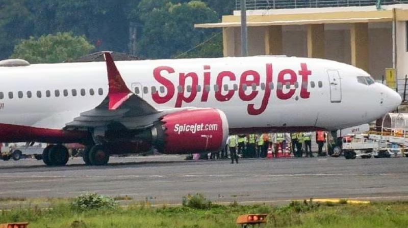 Leh Bound Spicejet Plane Returns To Delhi After Bird Hit News In Hindi