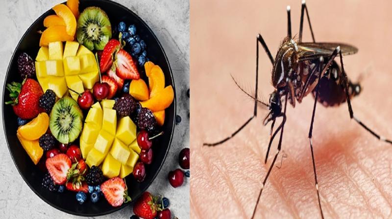 Consume these fruits in case of dengue news in hindi