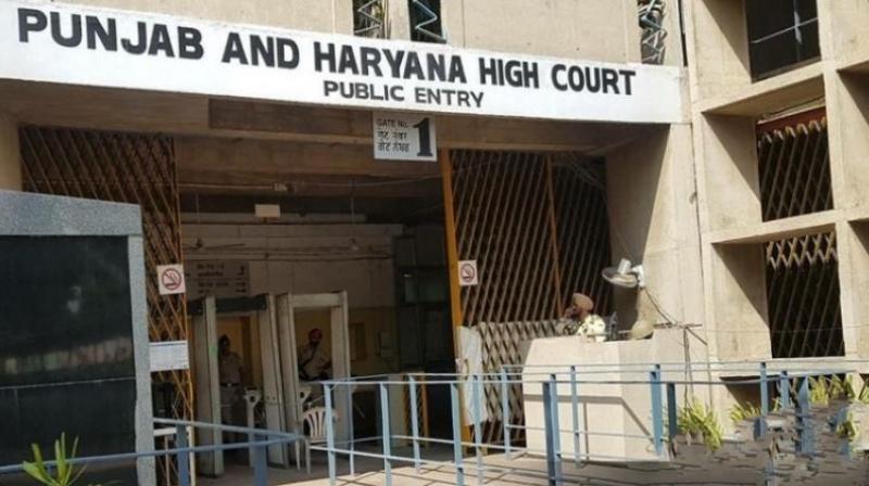 Punjab-Haryana High Court: Demand to increase security in lower courts, response sought from Haryana,Punjab Chandigarh