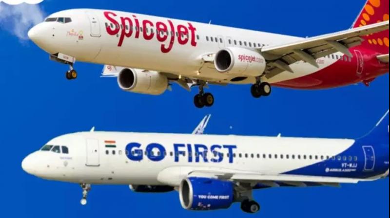  SpiceJet can buy bankrupt GoFirst 