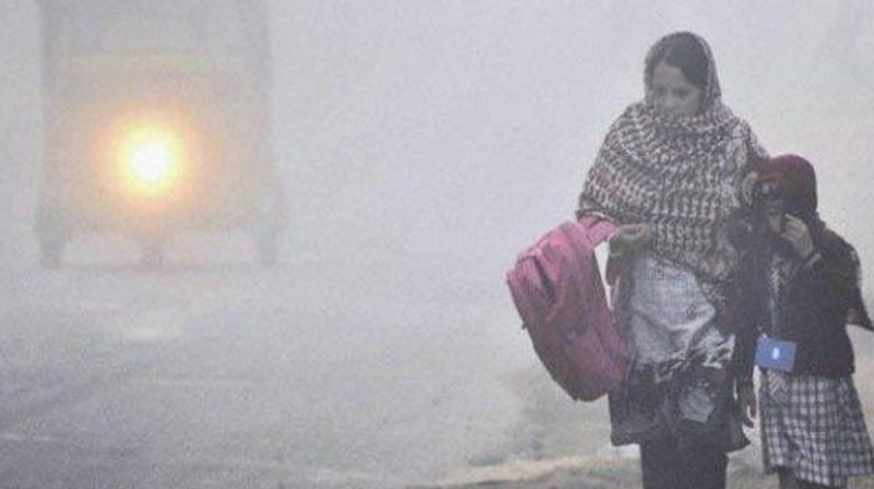 Many parts of Haryana and Punjab are in the grip of fog due to severe cold.