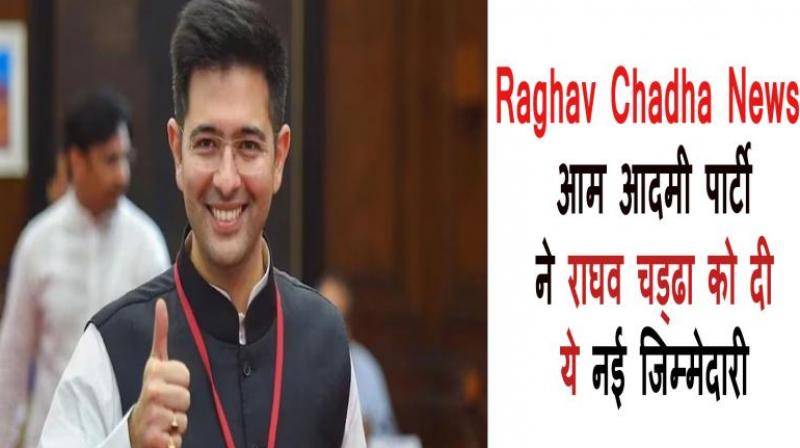 Raghav Chadha News