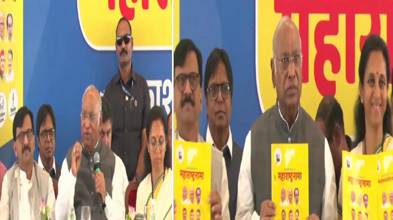 Maharashtra Nama, Mallikarjun Kharge launches MVA manifesto news in hindi