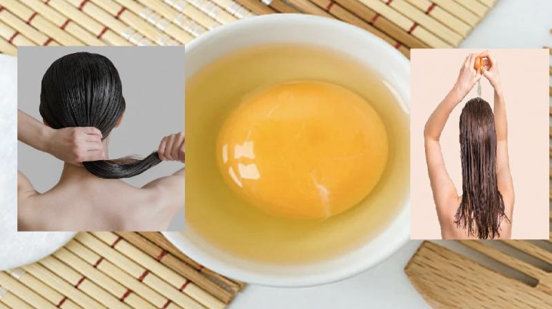 Egg mask will add shine to dull hair news in hindi