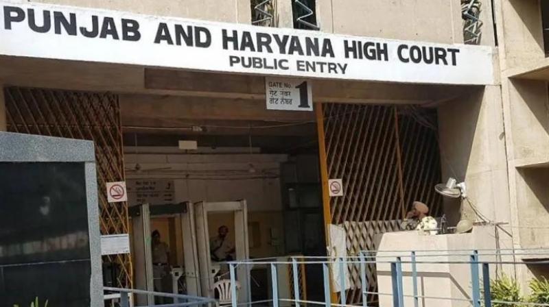 Punjab and Haryana High Court Cancelled  Rapist Father Death Sentence news in hindi