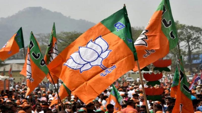 UP Bypolls 2024: BJP released 7 candidates list News in Hindi