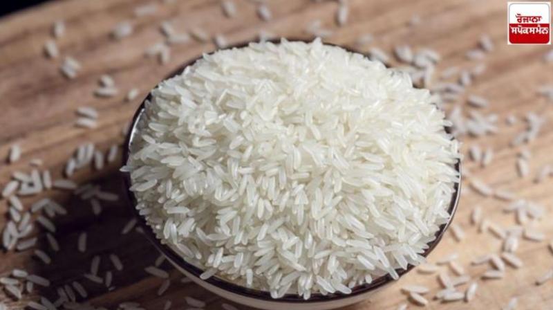  No longer ban on export of non-Basmati white rice  News In Hindi