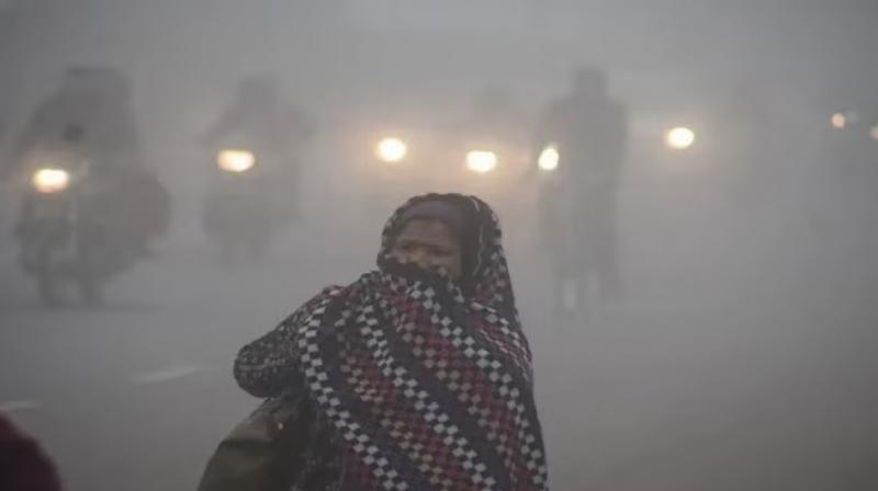 Punjab Weather Update Fog alert in 15 districts News in Hindi