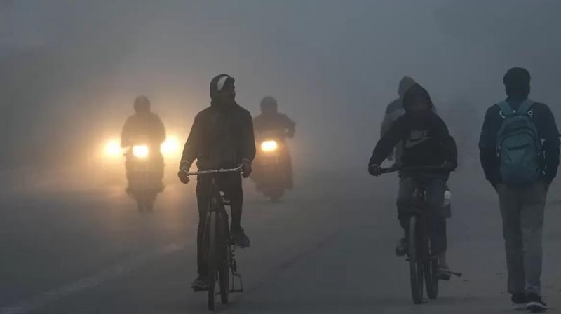 Punjab Weather Update Yellow alert of fog in 5 districts News In Hindi