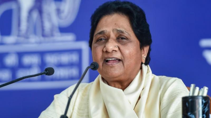 BSP will contest on all 70 seats in Delhi Assembly elections News In Hindi