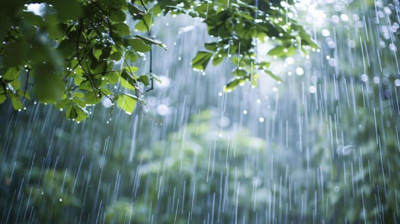 Weather News: possibility of heavy rain in Himachal, Rajasthan, UP and other states till August 17, Check Forecast