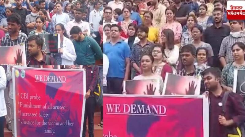 Chandigarh News: Doctors protest in Chandigarh PGI; Demand for justice for Kolkata's female doctor