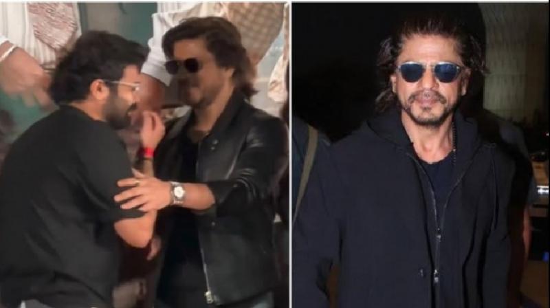 Shah Rukh Khan Video