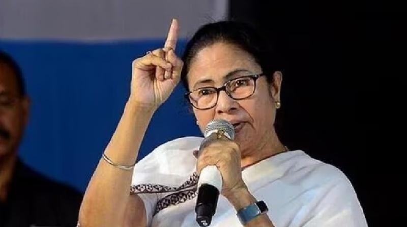 Mamata Banerjee News