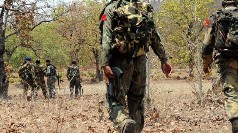 Three Maoists killed in an encounter in Chhattisgarh 