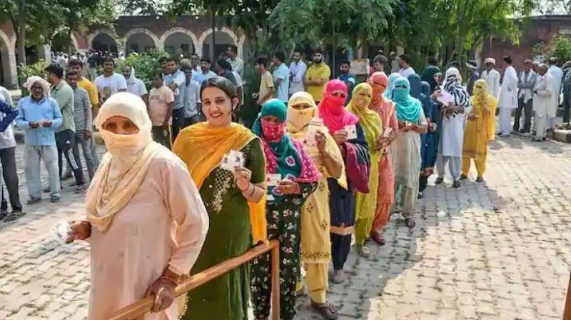 Haryana: Total 84 percent voting in the last phase of Panchayat elections in four districts