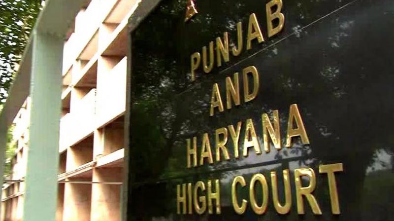 Punjab and Haryana High Court (file photo)