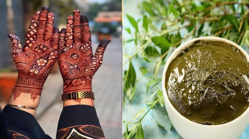  Mehndi make at home tips to darken Mehndi color News In Hindi