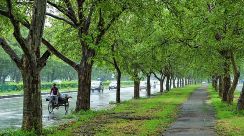 Monsoon will be active in Punjab-Chandigarh on September 2 news in hindi