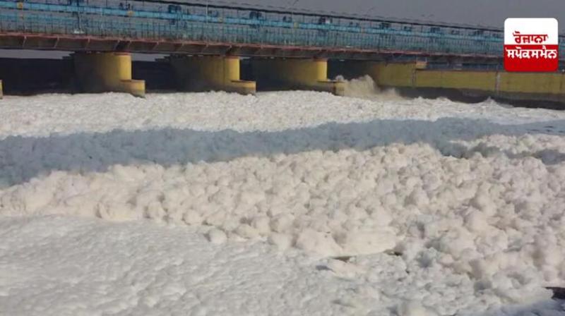 Yamuna Poisonous Foam Pollution level dangerous level News In Hindi