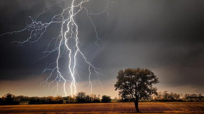 Lightning caused havoc in UP! More than three dozen people lost their lives