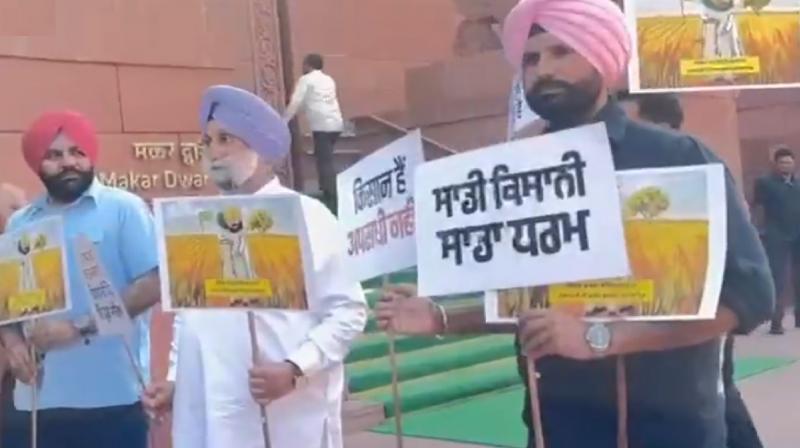 Farmers Protest Parliament, Amarinder Singh Raja Warring news in hindi