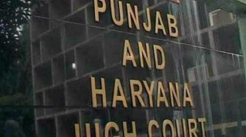 Punjab-Haryana HC party informed investigation progress within 90 days News In Hindi