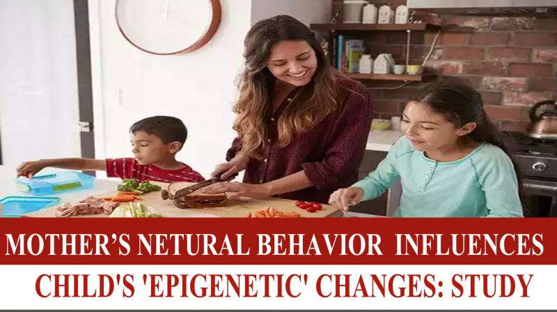 Mother's neutral behavior influences child's 'epigenetic' changes: Study