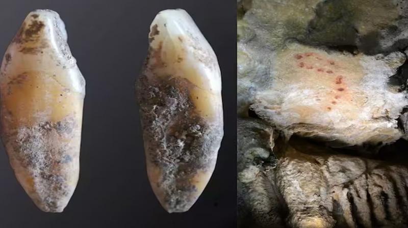 Oldest human genome found in southern Spain