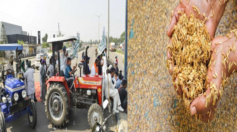 Punjab Farmers block road today for paddy purchase news in Hindi