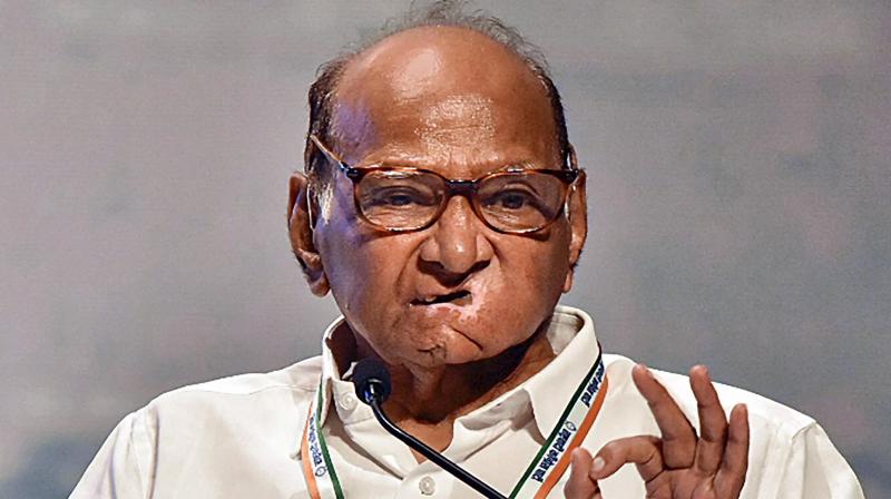 Sharad Pawar NCP announced 22 candidates News In Hindi