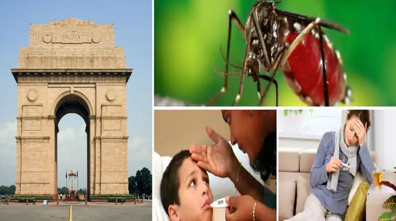 Over 3,000 dengue cases confirmed in Delhi this year so far