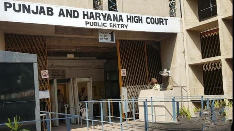 Punjab and Haryana High Court lawyer was fighting dead person  bail case