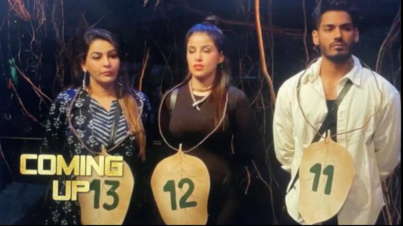 Bigg Boss 18 Edin Rose and Yamini Malhotra Gets Eliminated News In Hindi