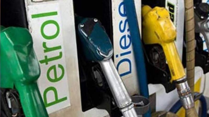  Petrol Diesel started running out in Punjab truck drivers strike