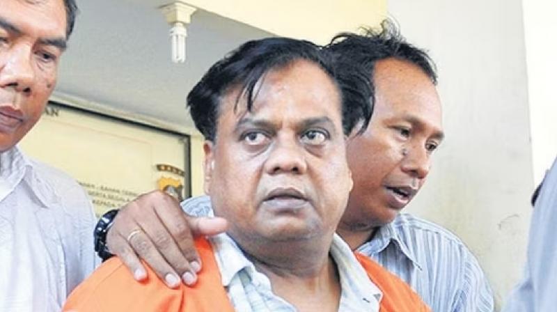 Bombay HC grants bail to Gangster Chhota Rajan News In Hindi