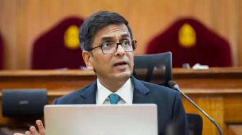 marital rape case; CJI Chandrachud postponed hearing News In Hindi