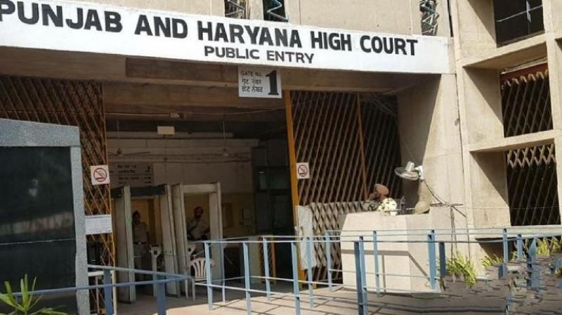 Punjab- Haryana High Court 'Calling husband 'Hijra' is mental cruelty'