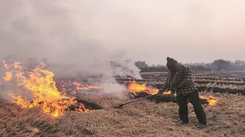 Pollution Increase In Haryana, 24 Officers Suspended News In hindi