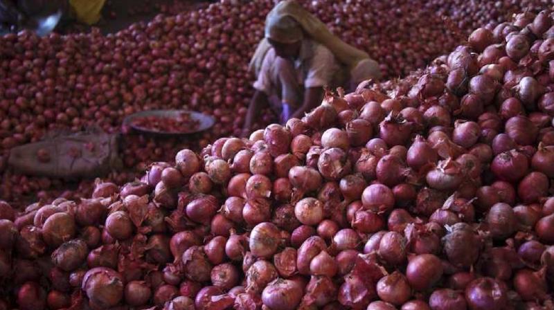 Central government starts sale of onion at Rs 35 per kg in Delhi-NCR news in hindi