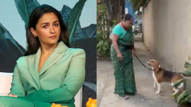 Alia Bhatt reacts to viral video of dog being beaten by caretaker in Bandra, Mumbai 