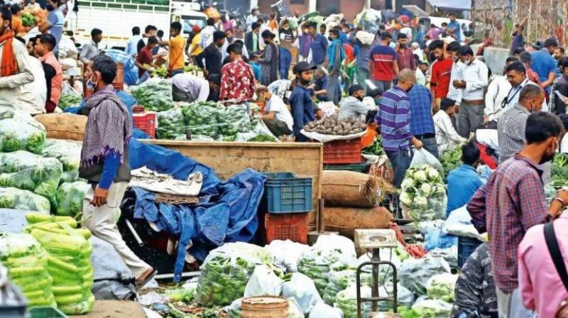 The prices of fruits and vegetables started increasing in Chandigarh news in Hindi Farmer protest 2024