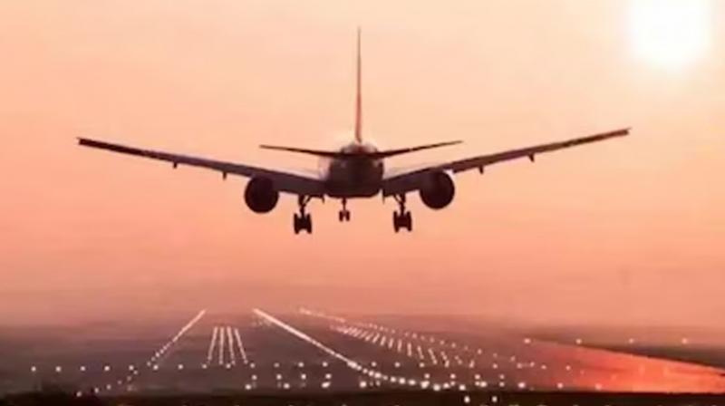 Canada News boy started fighting with his family in the flight flying in the sky emergency landing of flight