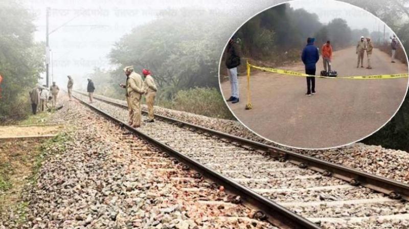 Punjab News 2 bodies found in Sector 82 of Mohali; Head separated from body