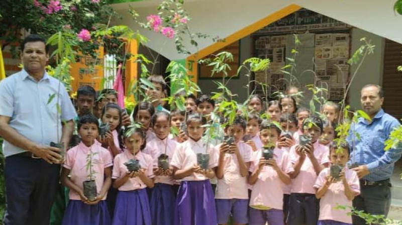 Dumarthar school students planted a sapling in their name news