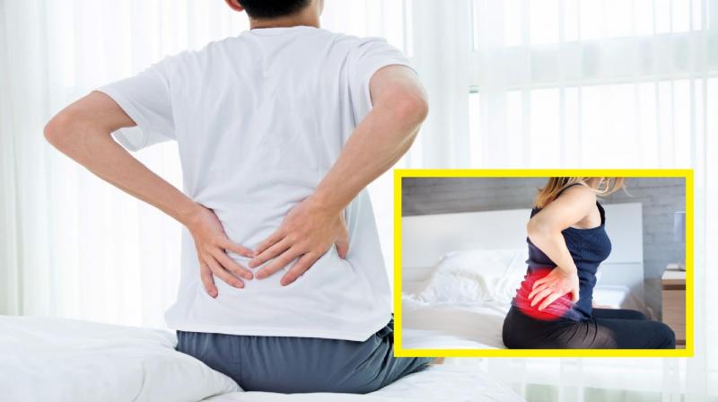 Do you also have pain in your hip? News In Hindi