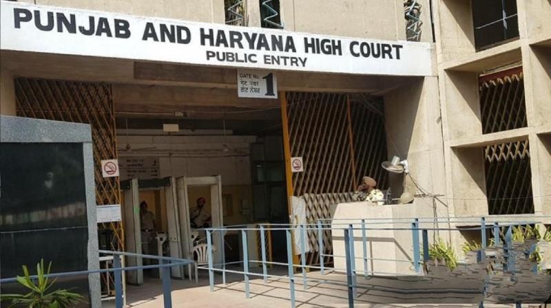 Punjab-Haryana High Court sought answers from Central and UT Administration on separate cell for transgenders in jails