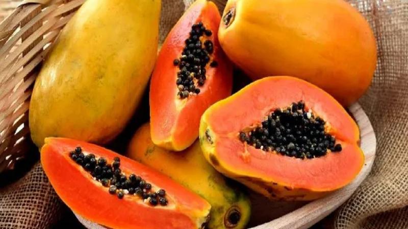 Eat papaya on an empty stomach cure lung infection news in hindi