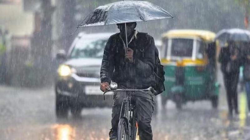 Severe cold begins, warning of heavy rain in 6 states news in hindi